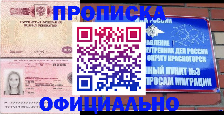 временная регистрация собственник в Мончегорске